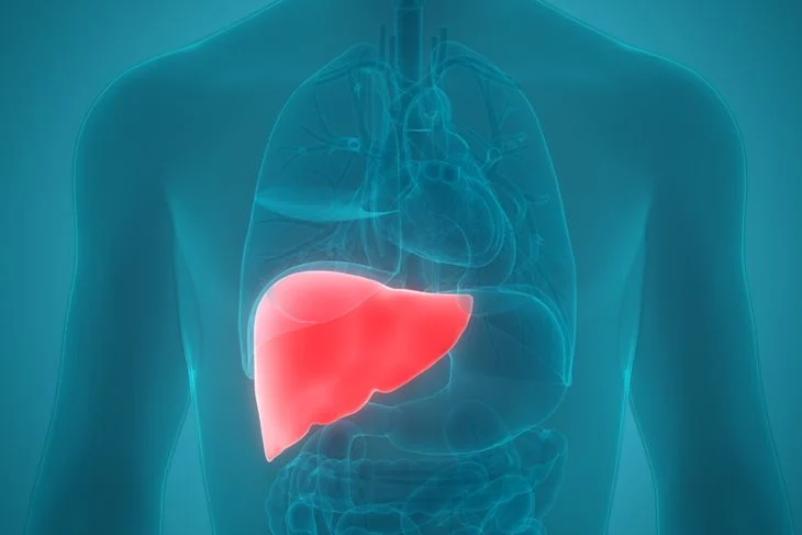 Early detection of elevated liver enzymes